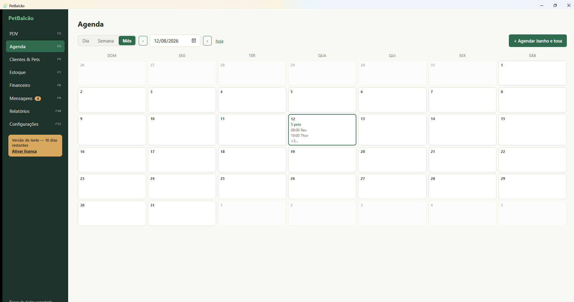 Visão de mês da agenda